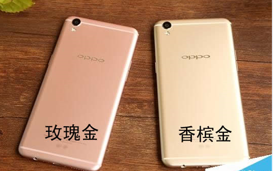 微信图片_20240515160313.png